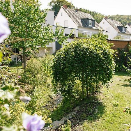 Ferienwohnung Am Breyer Talbach Dış mekan fotoğraf